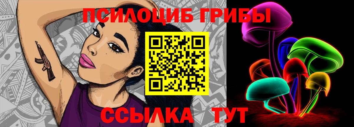 Псилоцибиновые грибы Psilocybe  Вход с VPN  Алейск  Галлюциногенные грибы MAGIC MUSHROOMS 